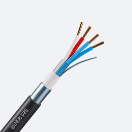 Control & Instrumentation Cable