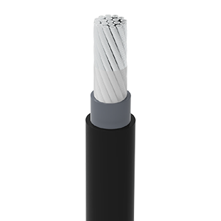 Üntel EPR/CSPE