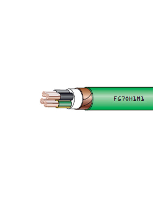 FG7OH1M1 0,6/1 kV Power