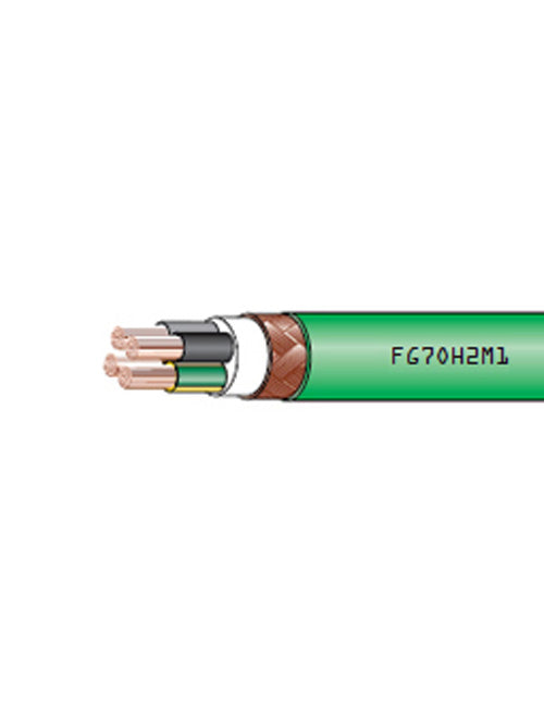 FG7OH2M1 0,6/1 kV Power