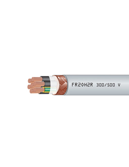 FR2OH2R 300/500 V