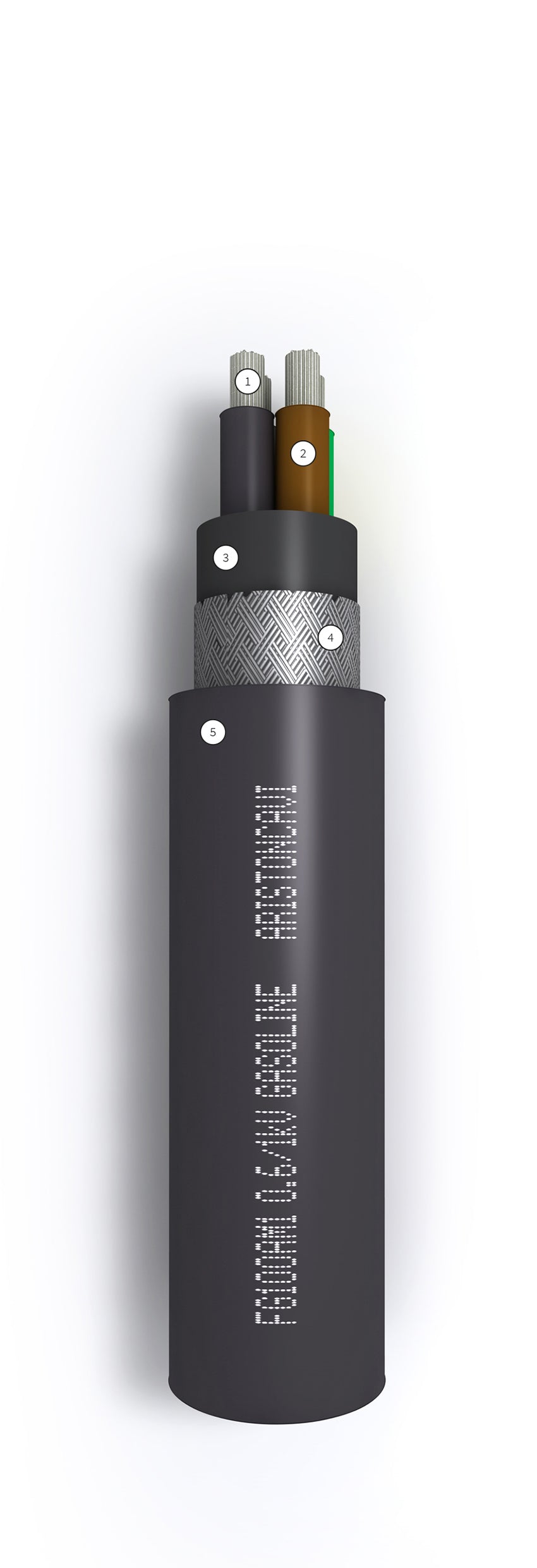 GASOLINE – FG10OAM1